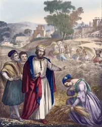 Ruth in the Field of Boaz